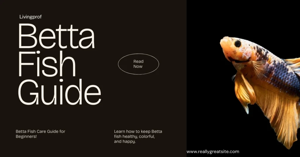Betta Fish Care Guide